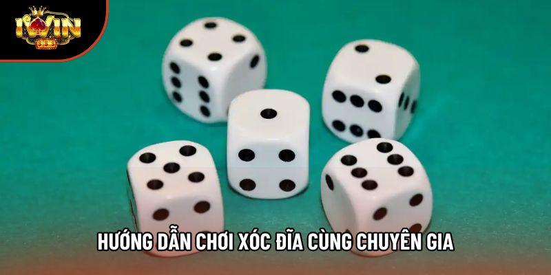 Hướng dẫn chơi xóc đĩa cùng chuyên gia