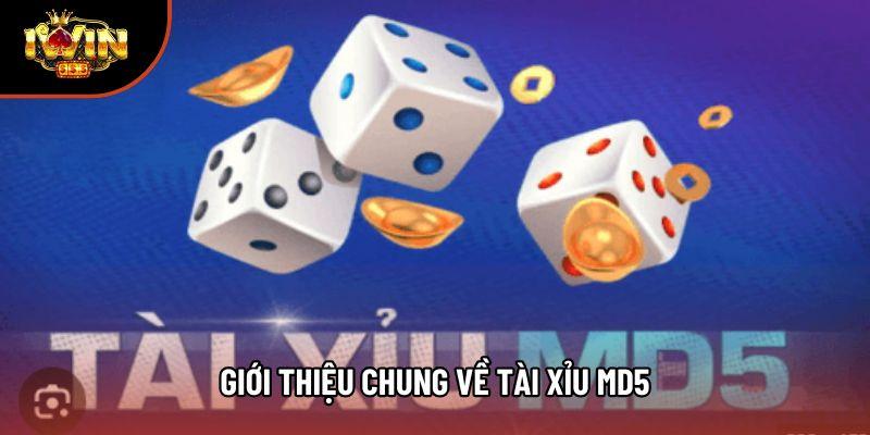 Giới thiệu chung về tài xỉu md5